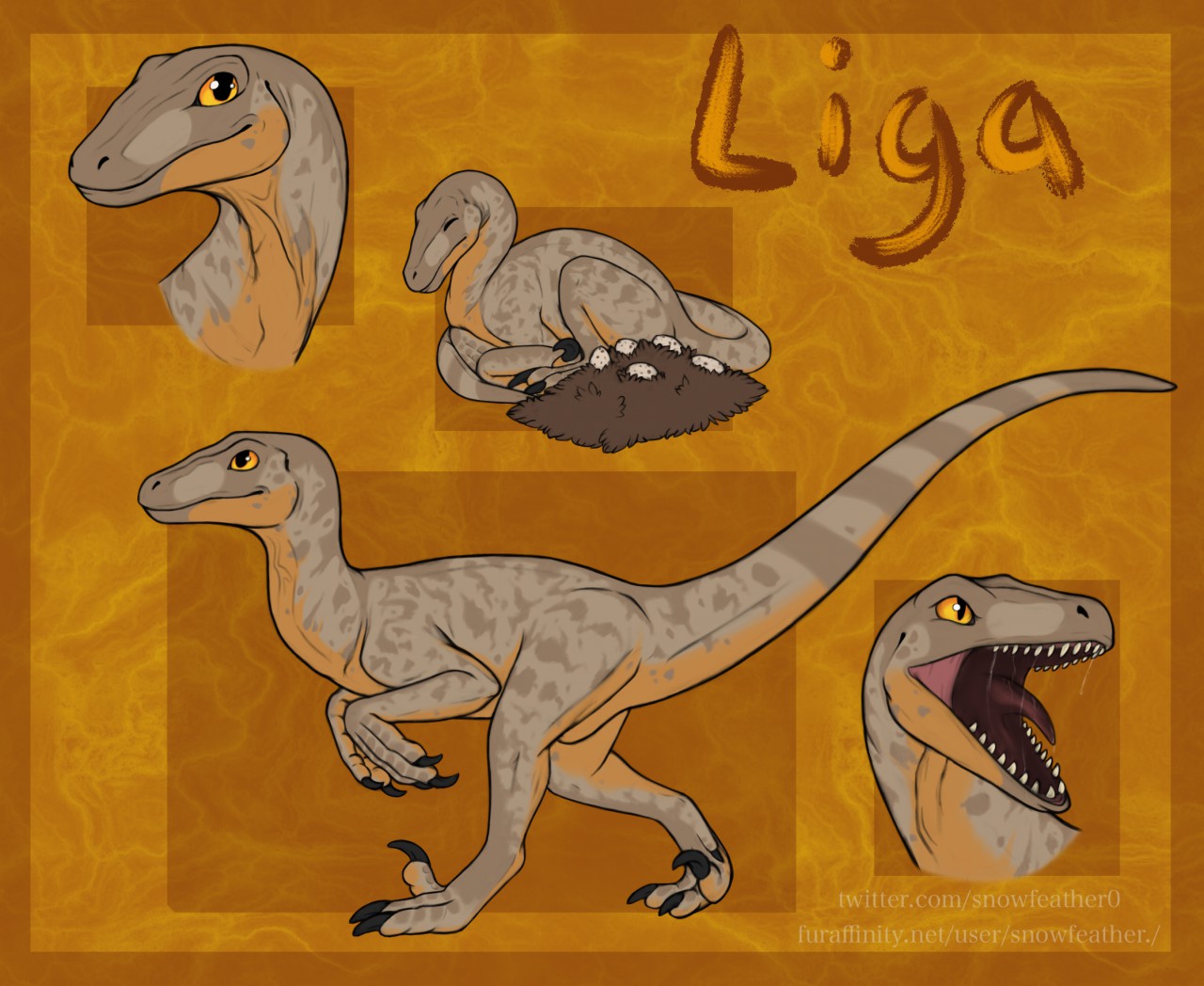 Image titled Utahraptor Reference, by SnowFeather.