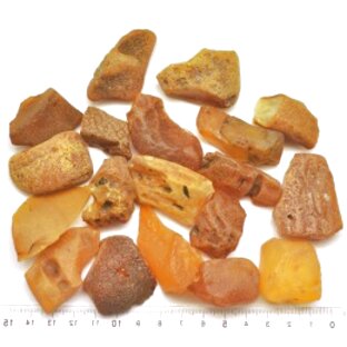 Picture of amber pieces.