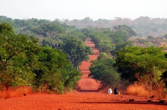 Picture of red soil path in Africa.