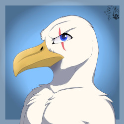 Image titled Albatross bird