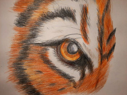 Image titled Art Practice. Tiger Eye