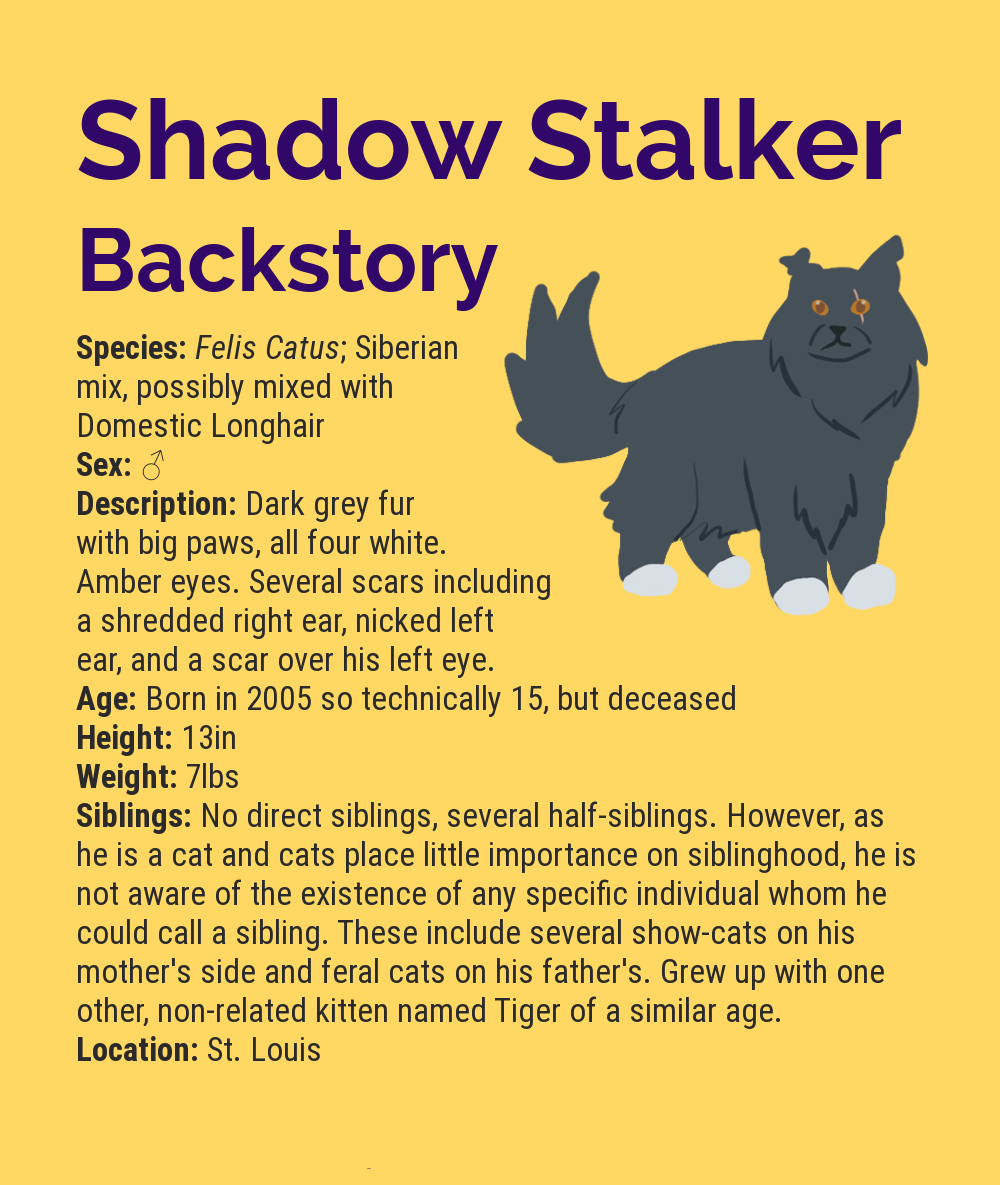 Shadow Stalker Infographic Stub