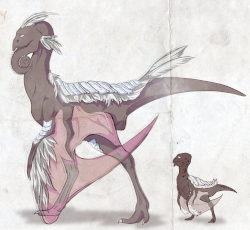 Pinnograth drawn by GillyeoWalters.