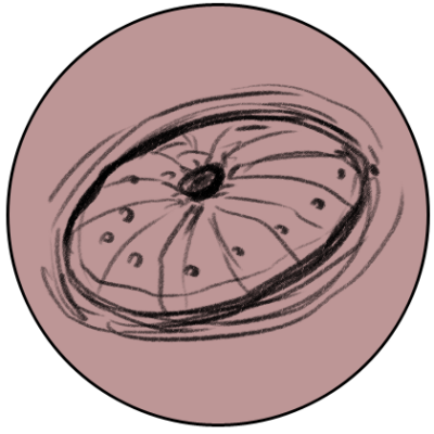 Drawing of Scab Cap by Ryan Nieto