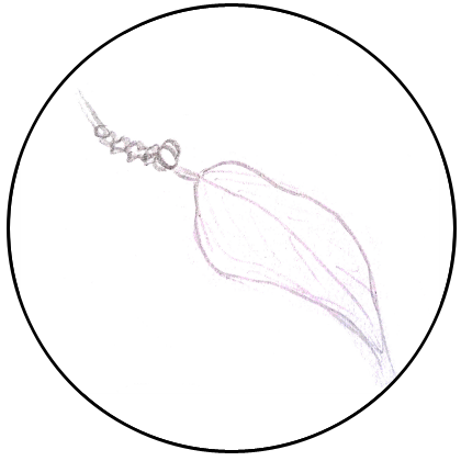 Drawing of # by me