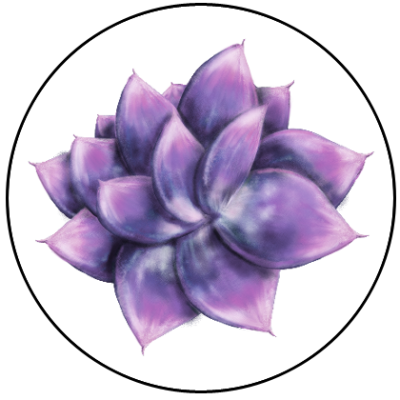 Drawing of Apirocoma by Taleea