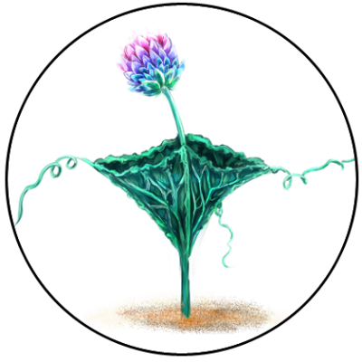 Drawing of Treparte reed by Taleea